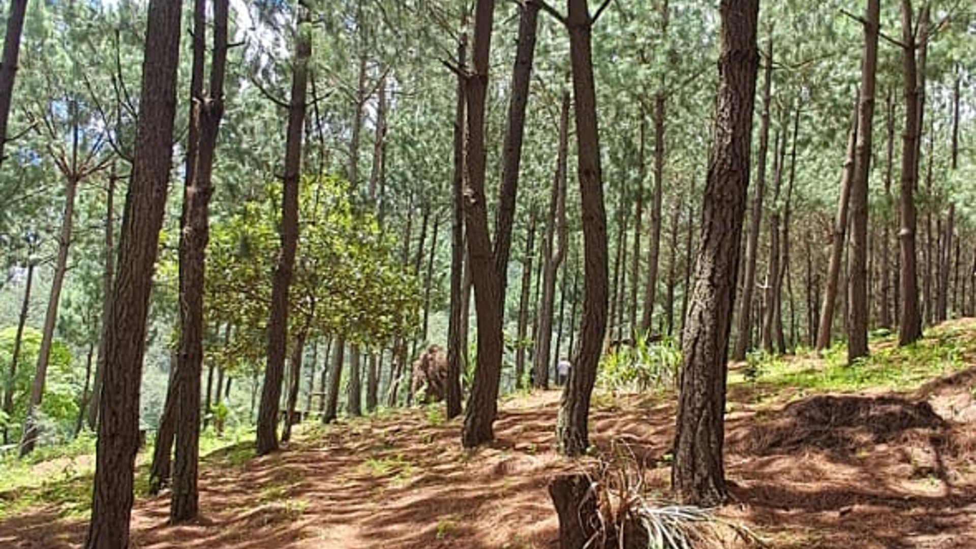 Parque ecológico en Venta en San Andres Itzapa Chimaltenango - Miniatura 12