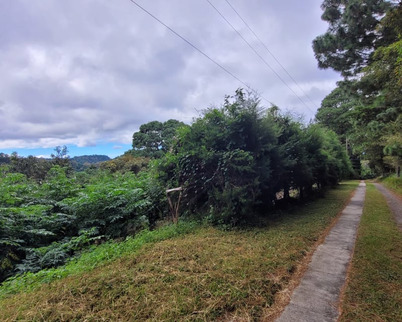 Terreno en venta en CAES  Km 22.5