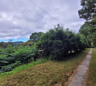 Terreno en venta en CAES  Km 22.5