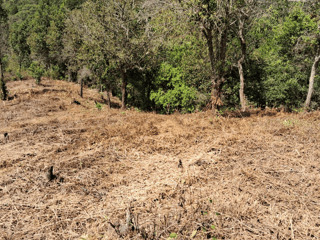 Terreno en Venta en KM 20.5 Aldea a Lo Diéguez, Fraijanes - 2