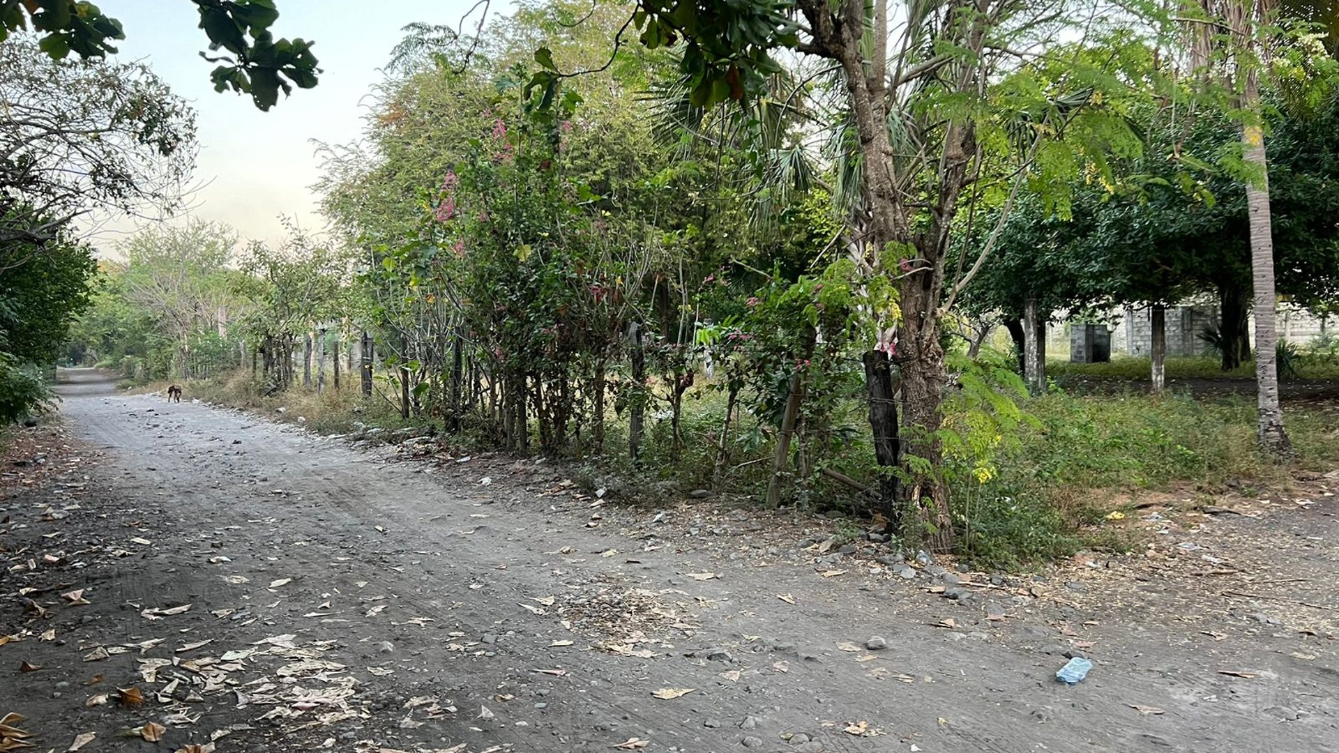 VENTA DE AMPLIO TERRENO A POCOS METROS DE LA PLAYA - MONTERRICO - Miniatura 4
