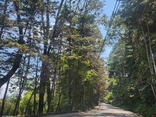 Vendo Terreno en Santa Rosalía La Laguna, San José Pinula  - Image 5