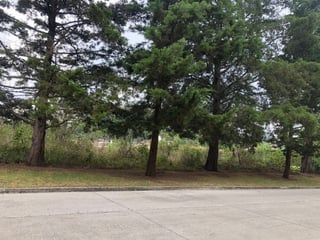 Terrenos en venta en Casa y Campo km 23.5 CES - 3