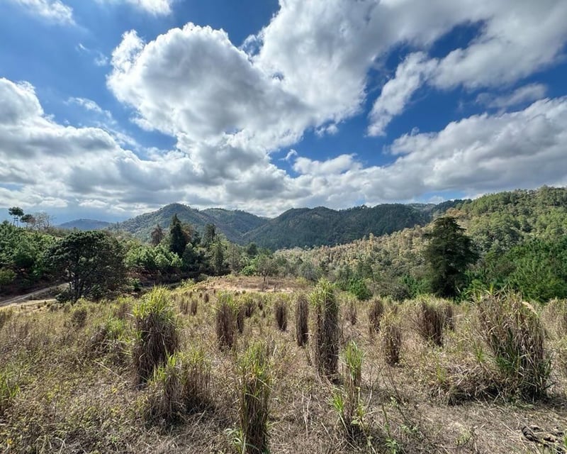 SAN PEDRO AYAMPUC/ FINCA EN VENTA PARA DESARROLLO
