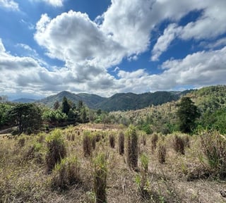 SAN PEDRO AYAMPUC/ FINCA EN VENTA PARA DESARROLLO