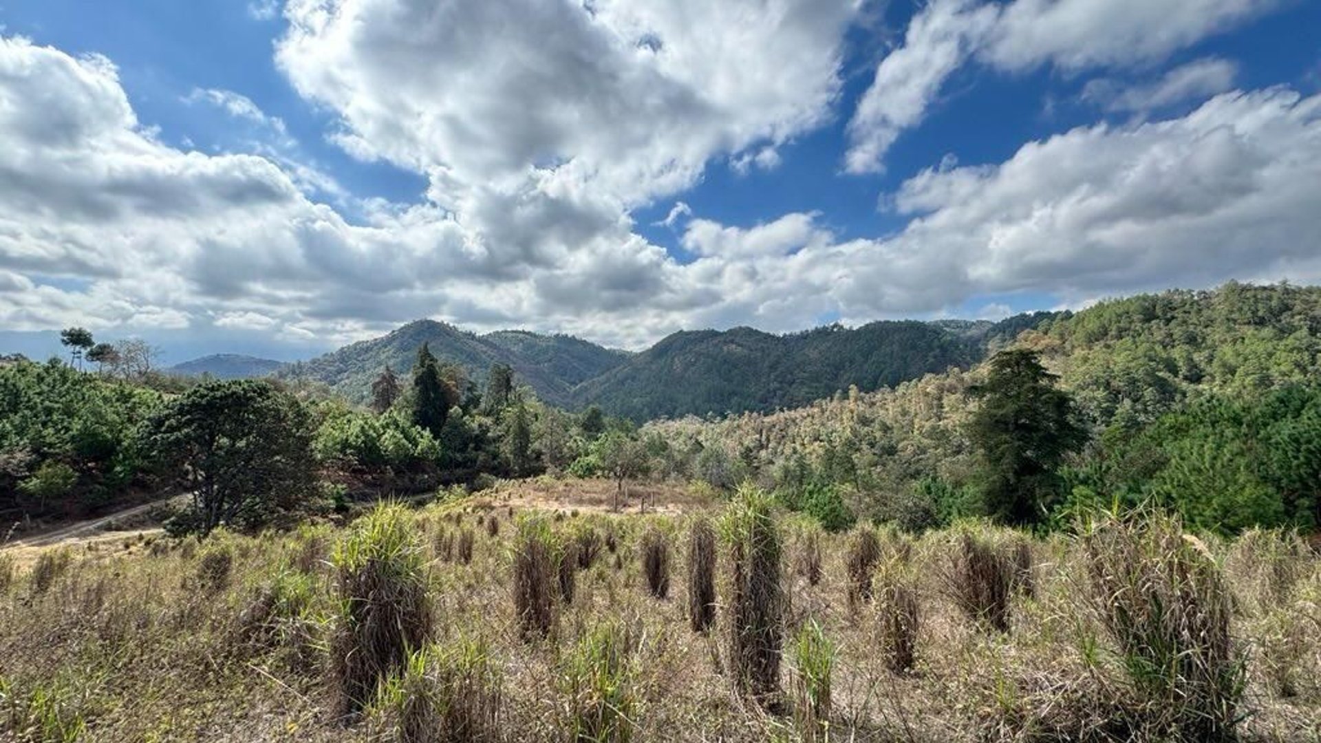 SAN PEDRO AYAMPUC/ FINCA EN VENTA PARA DESARROLLO