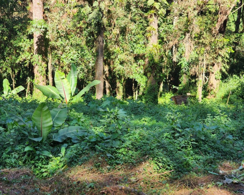 Terreno en Venta en Santa Catarina Pinula - Km 12.5 CES