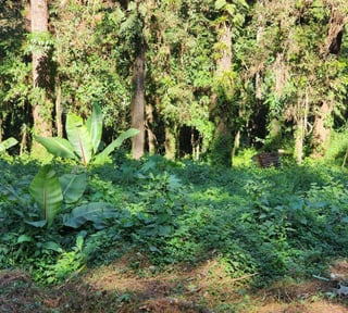 Terreno en Venta en Santa Catarina Pinula - Km 12.5 CES