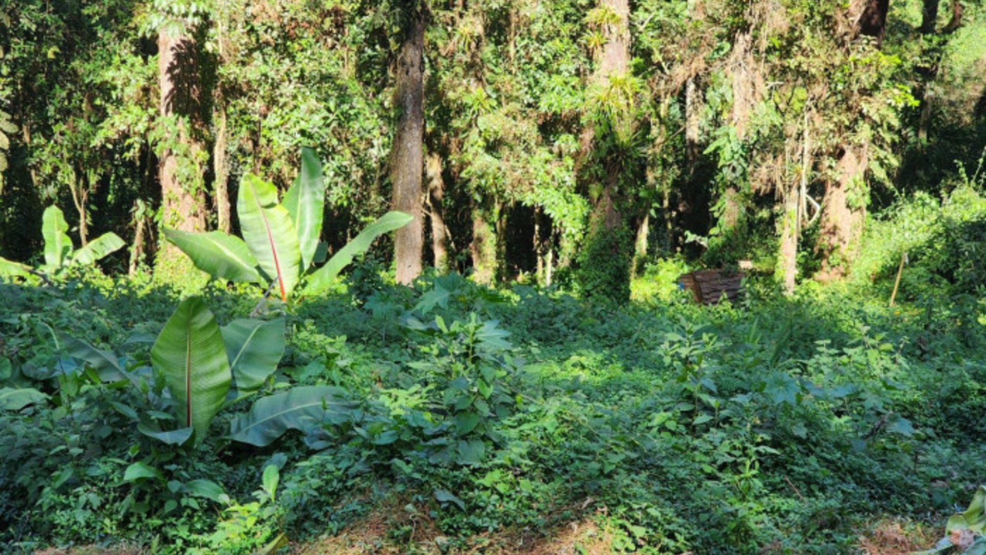 Terreno en Venta en Santa Catarina Pinula - Km 12.5 CES