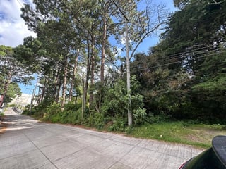 VENTA TERRENO EN PUERTA GRANDE KM 14.5 CAES, IDEAL DESARROLLO - 2
