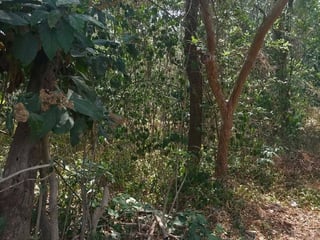 Terreno en venta en antigua guatemala  - 3